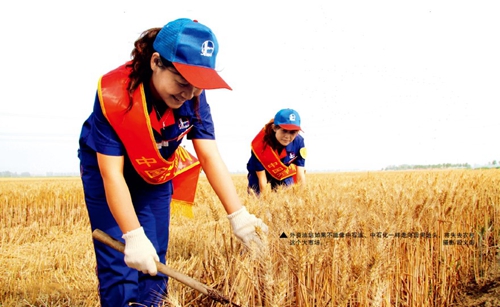 尊龙凯时登录首页(中国)官方网站