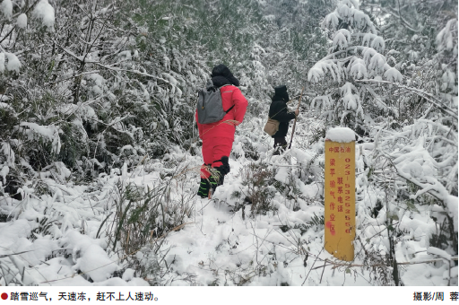 尊龙凯时登录首页(中国)官方网站